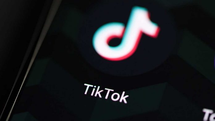 How To Download TikTok Videos / 1