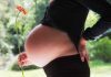 Weight Loss After Pregnancy