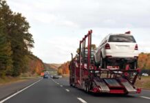 Affordable Student Car Shipping Options