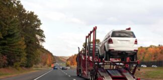 Affordable Student Car Shipping Options