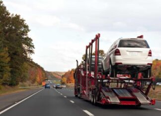 Affordable Student Car Shipping Options