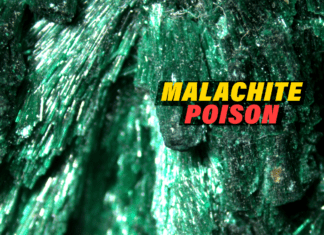 Understanding the Malachite Poison: Safety Precautions and Myths Debunked Malachite Poison