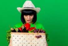12 Easy Vegetables to Grow for Beginners in 2026 easy vegetables to grow for beginners