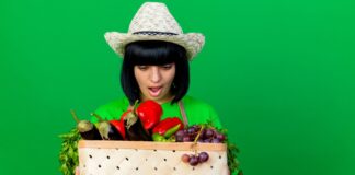 easy vegetables to grow for beginners