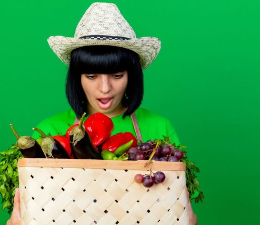 easy vegetables to grow for beginners
