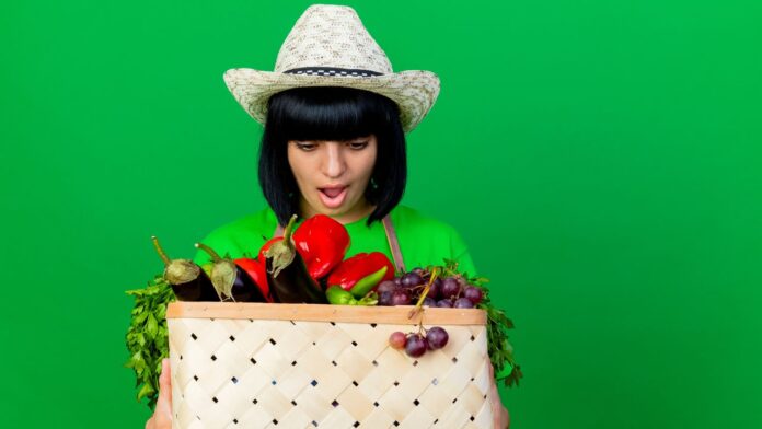 easy vegetables to grow for beginners
