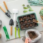 15 Best Indoor Plants for Beginners in 2026 best indoor plants beginners