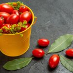 How to Grow Tomatoes in Containers: Complete 2026 Guide grow tomatoes containers