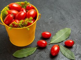 grow tomatoes containers