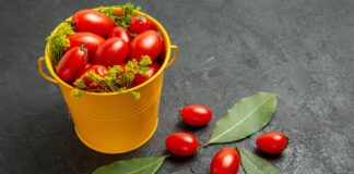 grow tomatoes containers
