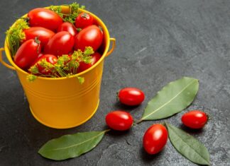 How to Grow Tomatoes in Containers: Complete 2026 Guide grow tomatoes containers