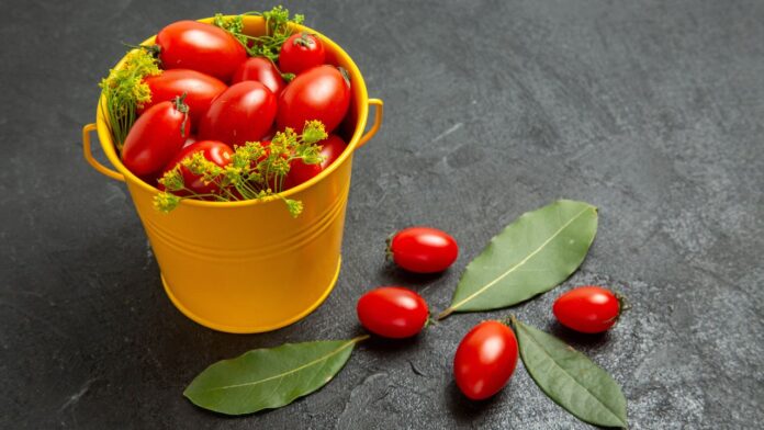 How to Grow Tomatoes in Containers Complete 2026 Guide grow tomatoes containers