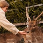 keep deer out garden