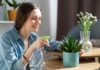 How to Make Your Home Smell Good Naturally in 2026 home smell good naturally