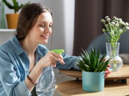 home smell good naturally