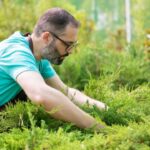 How to get rid of crabgrass without killing your lawn