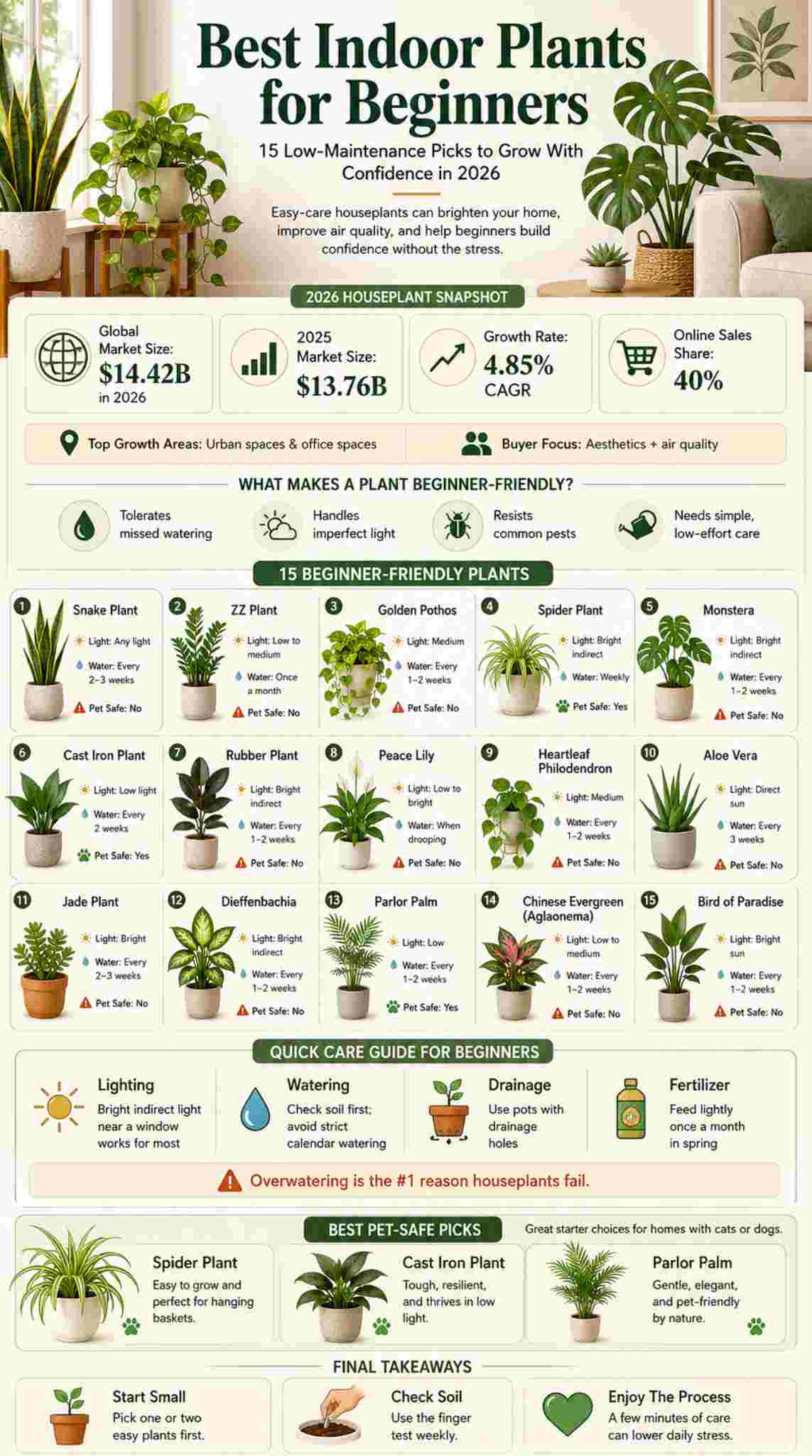 best indoor plants beginners