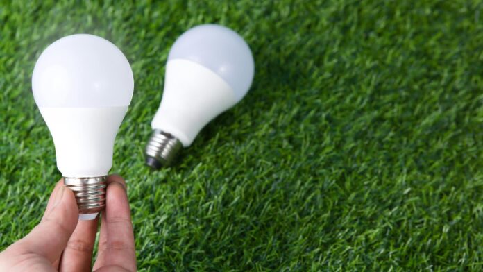 best smart light bulbs 2026 best smart light bulbs 2026