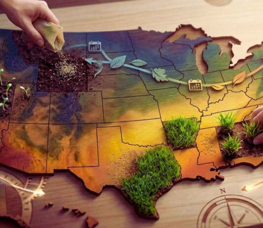 Best Time to Plant Grass Seed in 2026: Region-by-Region best time plant grass seed