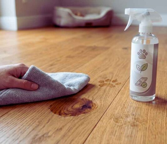 How to Remove Pet Stains from Hardwood Floors Safely? remove pet stains hardwood