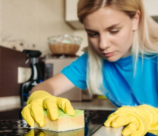 How to Clean an Oven Without Harsh Chemicals clean oven no chemicals