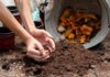 compost at home guide