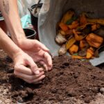 compost at home guide