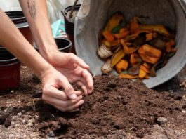 How to Compost at Home: Beginner’s Complete Guide compost at home guide