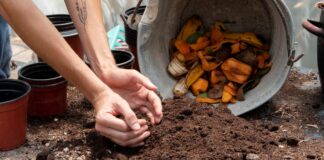 How to Compost at Home: Beginner’s Complete Guide compost at home guide