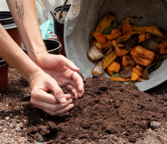 How to Compost at Home: Beginner’s Complete Guide compost at home guide