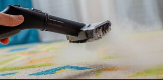 How to Get Rid of Carpet Beetles Permanently