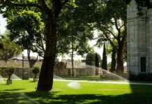 best smart sprinklers 2026