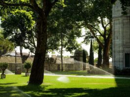 Best Smart Sprinkler Systems in 2026: Save Water Smart best smart sprinklers 2026