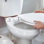 How to Replace a Toilet Seat: Quick 5-Minute Guide replace toilet seat