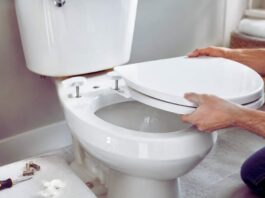 How to Replace a Toilet Seat: Quick 5-Minute Guide replace toilet seat