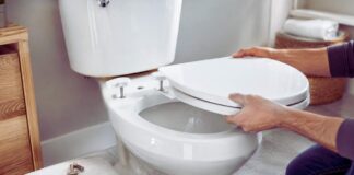 replace toilet seat