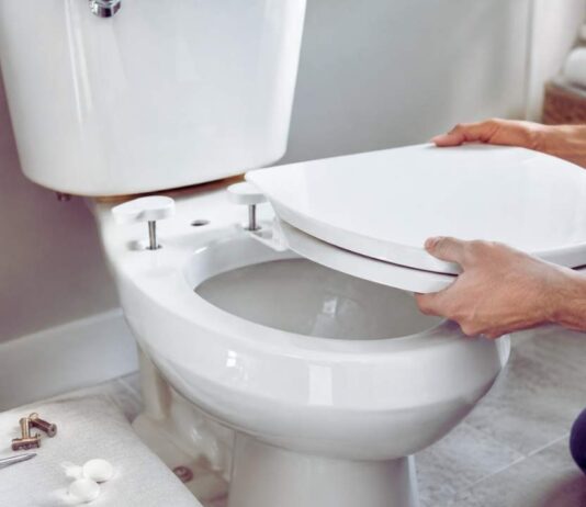 replace toilet seat