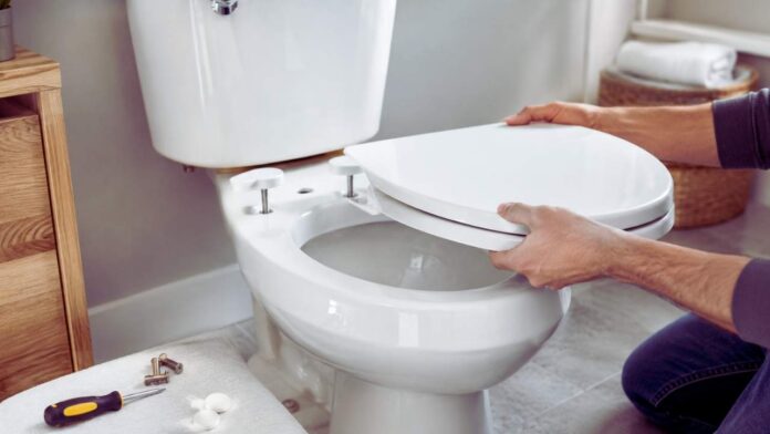 replace toilet seat replace toilet seat