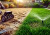 How to Revive a Dead Lawn in 30 Days: Step-by-Step revive dead lawn