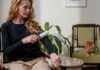 How to Remove Pet Hair From Furniture Fast remove pet hair from furniture