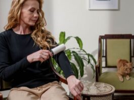 How to Remove Pet Hair From Furniture Fast remove pet hair from furniture