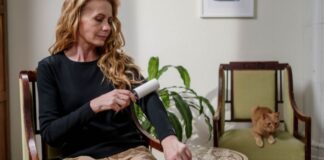 remove pet hair from furniture